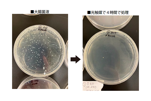 光触媒で4時間で処理