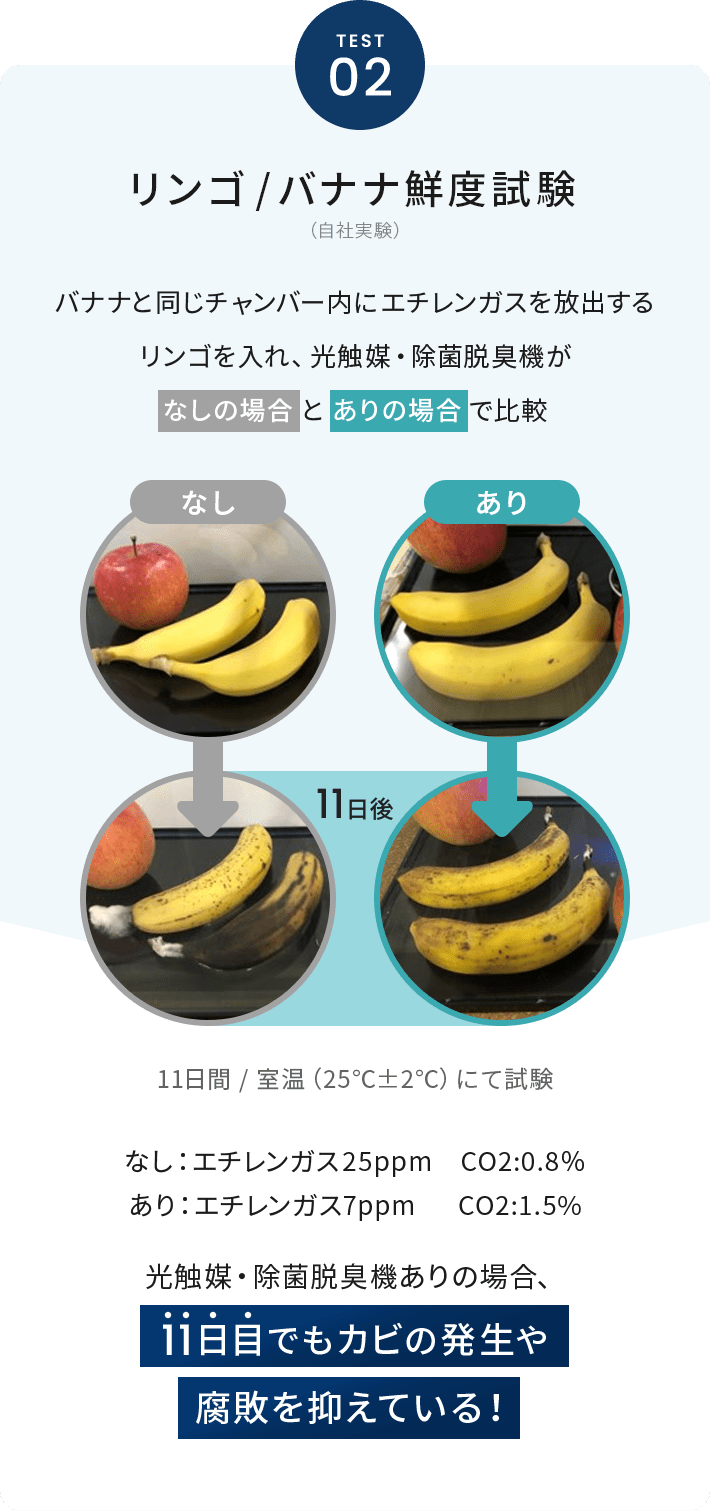TEST02 リンゴ / バナナ鮮度試験（自社実験） バナナと同じチャンバー内にエチレンガスを放出するリンゴを入れ、光触媒・除菌脱臭機がなしの場合とありの場合で比較 11日間 / 室温（25℃±2℃）にて試験 なし：エチレンガス25ppm CO2:0.8％ あり：エチレンガス7ppm CO2:1.5% 光触媒・除菌脱臭機ありの場合、11日目でもカビの発生や腐敗を抑えている！